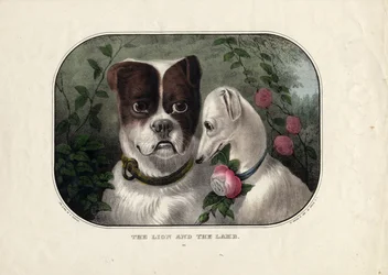 Der Löwe und das Lamm, veröffentlicht von N. Currier, New York, ca. 1838-56